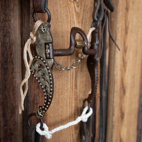 Headstalls & Rigs