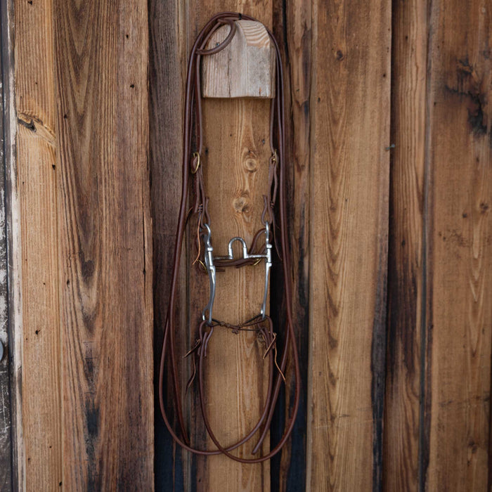 Dennis Moreland Correction Bridle Rig w/All New Leather