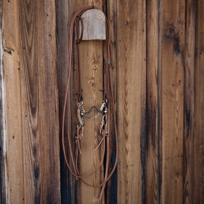 Solid Port Bridle Rig w/Single Ear Headstall