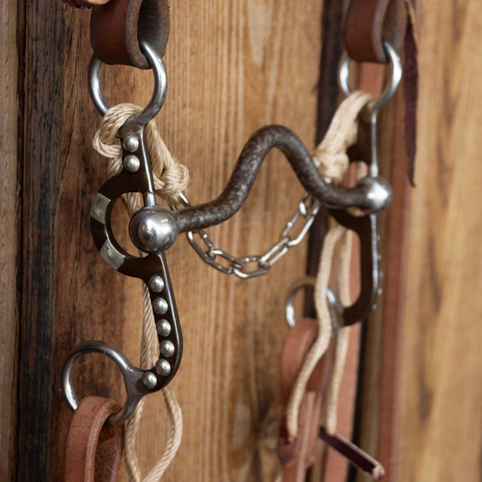 Solid Port Bridle Rig w/Single Ear Headstall