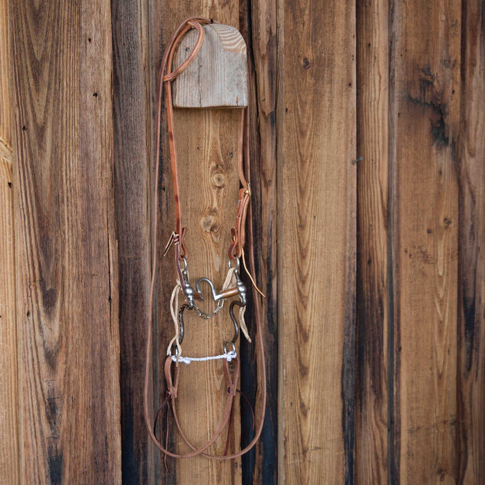 Correction Bridle Rig w/All New Leather