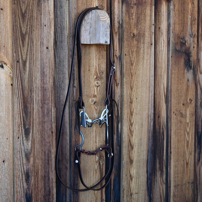 Gordy Alderson Ported Chain Bridle Rig w/Split Ear Headstall Tack - Rigs Gordy Alderson