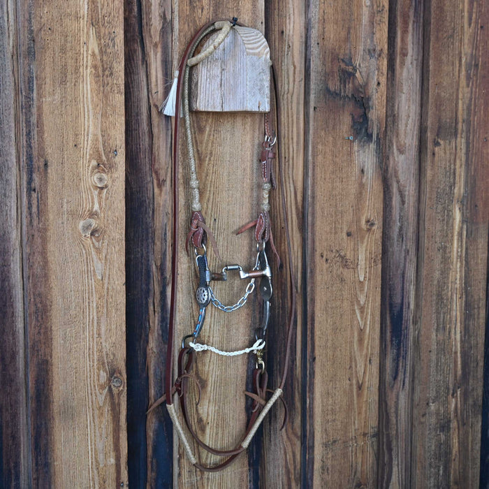 Wesius Forge Hinge Correction Bridle Rig w/Single Ear Headstall