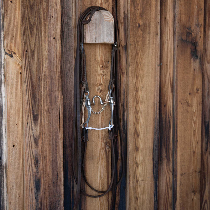 FG Metalab Correction Bridle Rig w/Single Ear Headstall