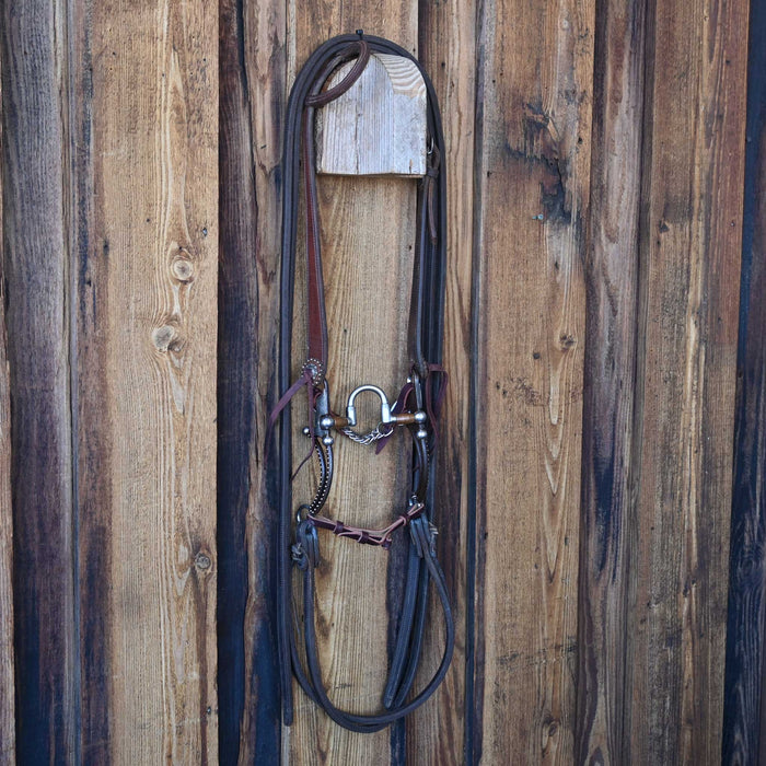 Tom Balding Correction Bridle Rig w/Single Ear Headstall