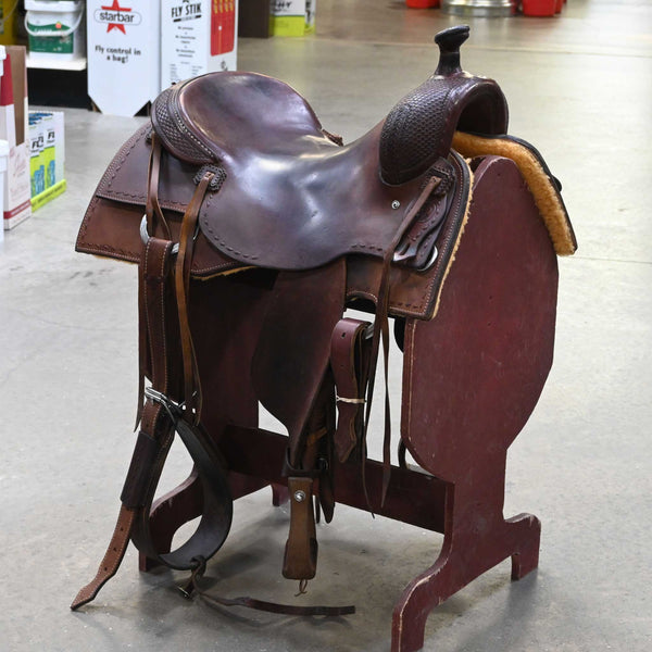 Cow Horse/Versatility