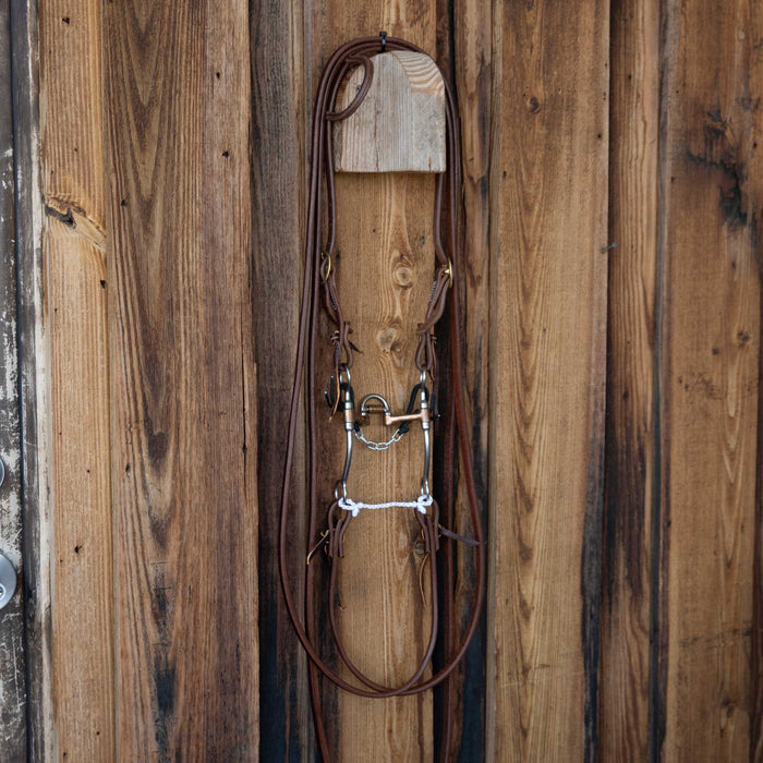 Don Hansen Correction Bridle Rig w/All New Leather