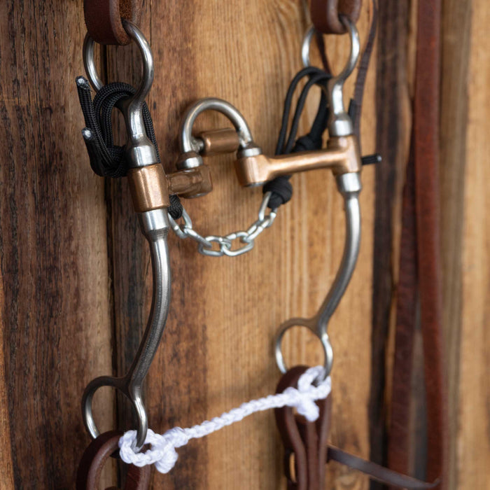 Don Hansen Correction Bridle Rig w/All New Leather