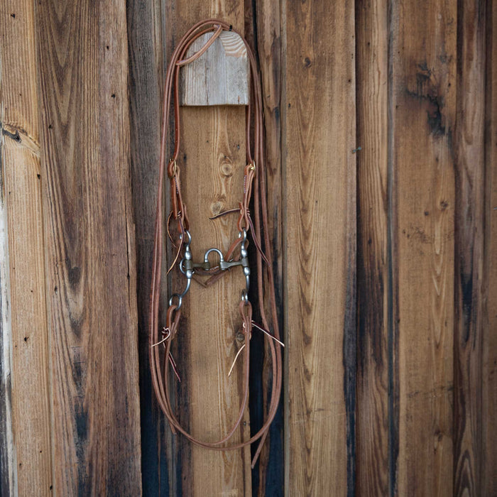 Cow Horse Supply Correction Bridle Rig w/All New Leather