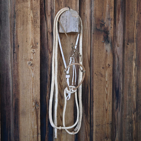 Nosebands & Tie Downs
