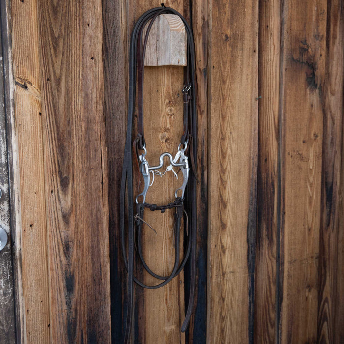 Bill Freeman Solid Port Bridle Rig w/Split Ear Headstall