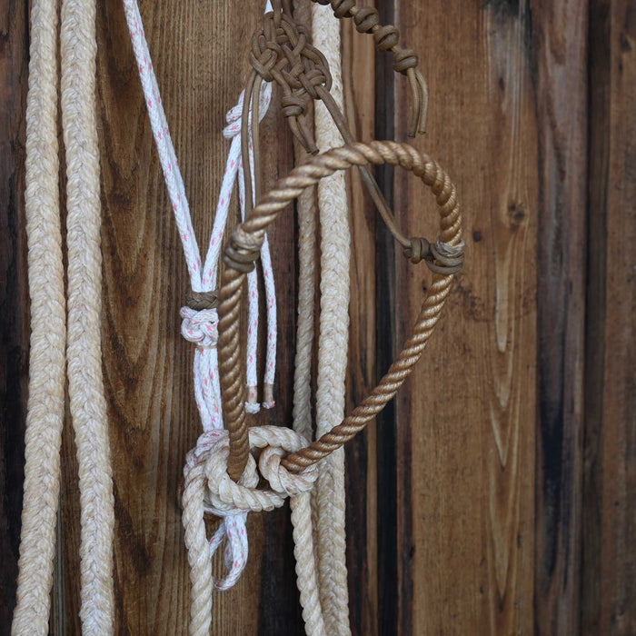 Clint Greggory Loping Hackamore w/Crowsfoot Headstall