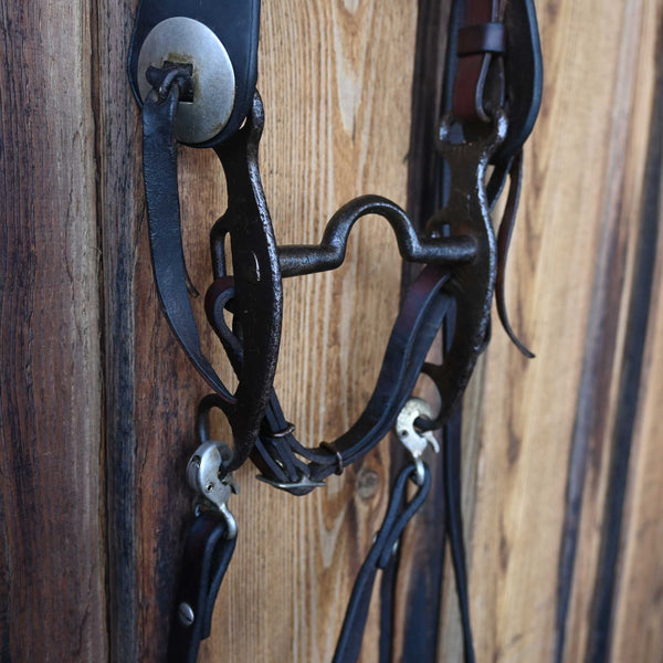 Headstalls & Rigs