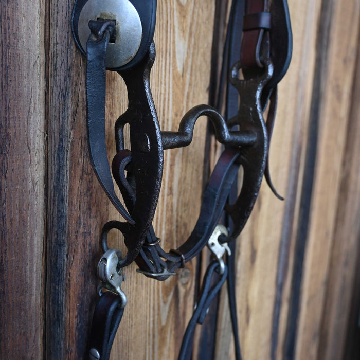 Vintage 1920's Bridle Rig