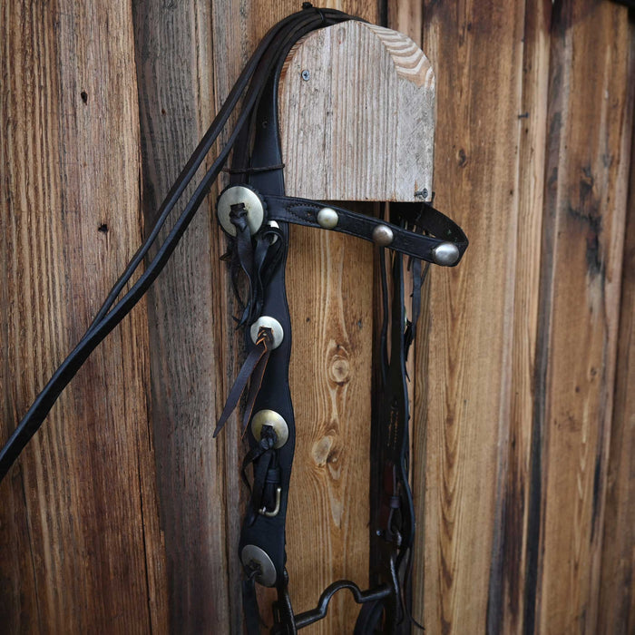 Vintage 1920's Bridle Rig