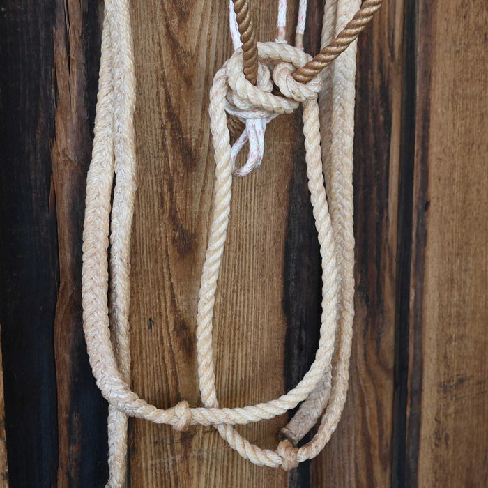 Clint Greggory Loping Hackamore w/Crowsfoot Headstall