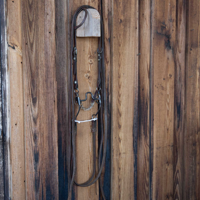Solid Port Bridle Rig w/Single Ear Headstall