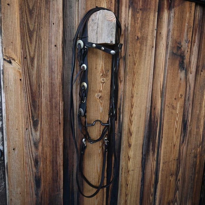 Vintage 1920's Bridle Rig