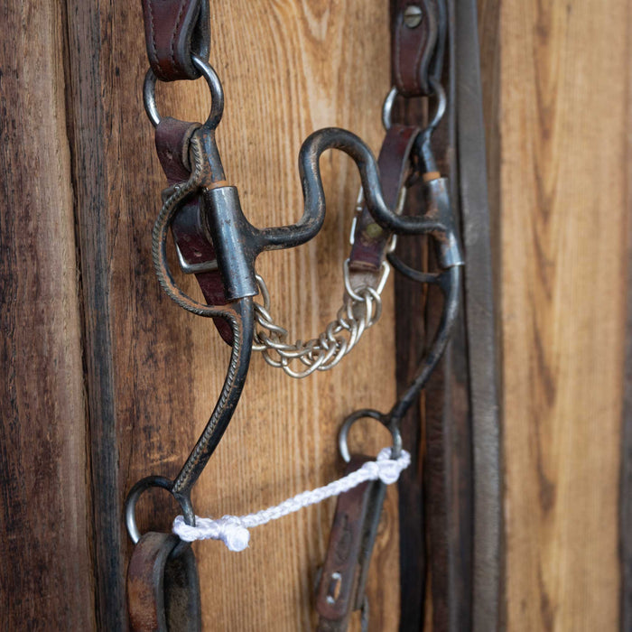 Solid Port Bridle Rig w/Single Ear Headstall