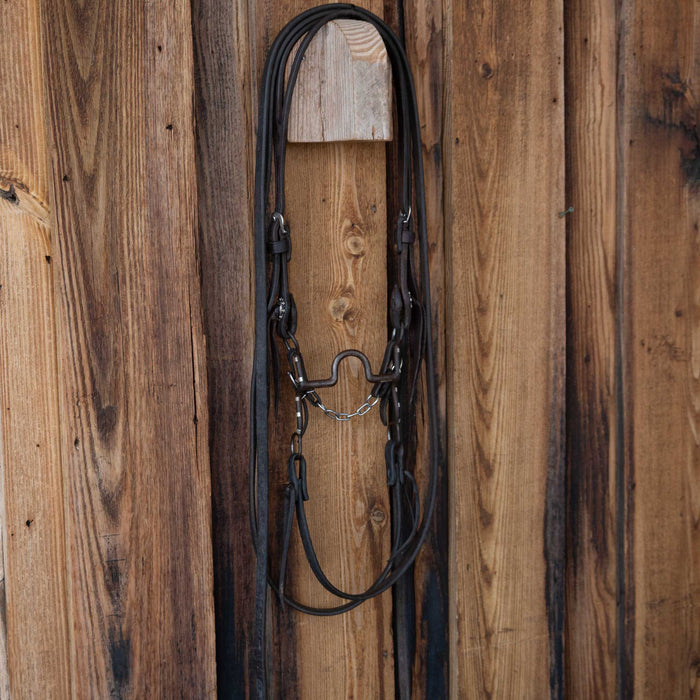 Solid Port Bridle Rig w/Split Ear Headstall