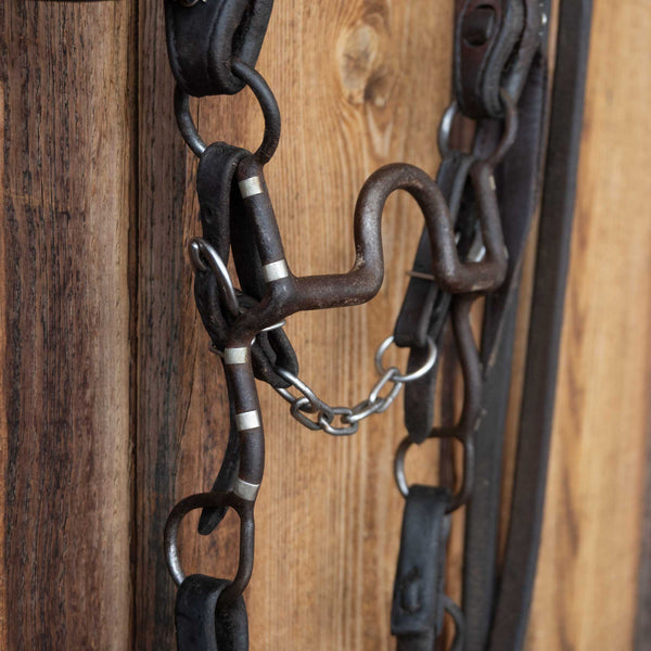 Headstalls & Rigs
