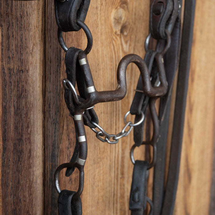 Solid Port Bridle Rig w/Split Ear Headstall