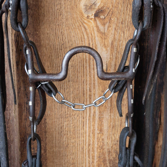 Solid Port Bridle Rig w/Split Ear Headstall