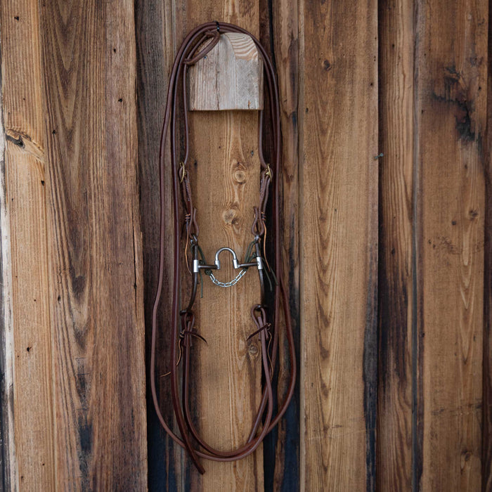 Jim Edwards Correction Bridle Rig w/All New Leather