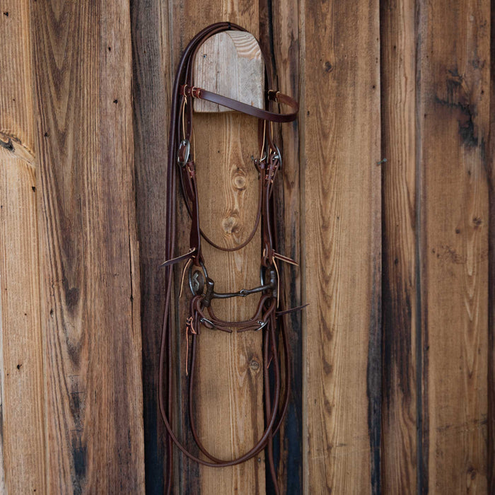 Jeff Payne D-Ring Snaffle Bridle Rig w/All New Leather