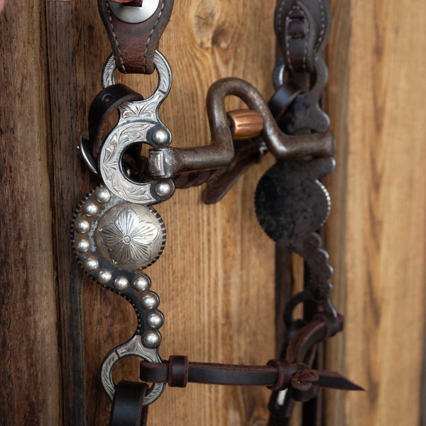 Headstalls & Rigs