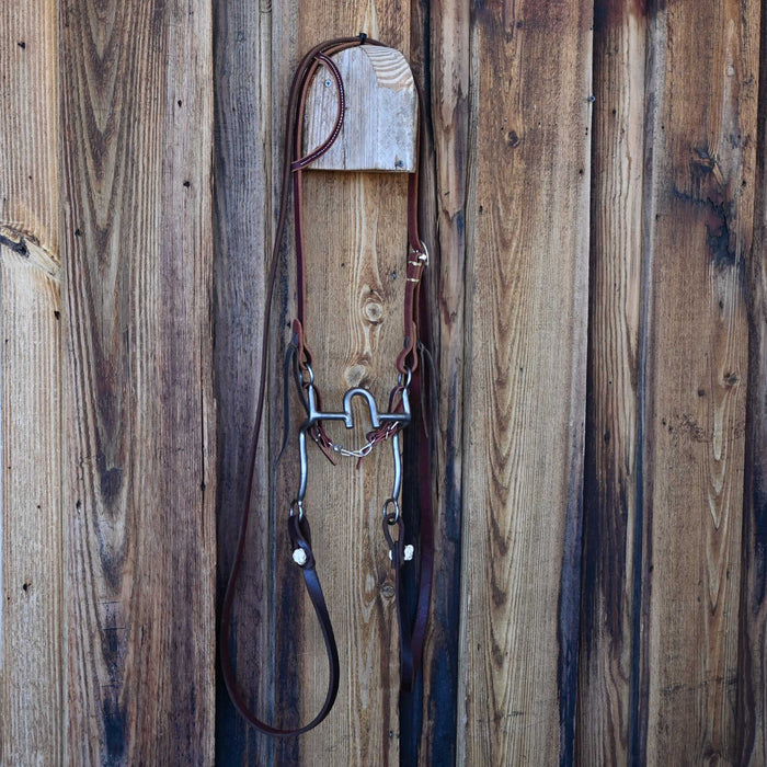 Daryl Davis Solid Port Bridle Rig w/Single Ear Headstall