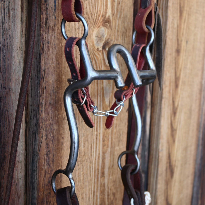Daryl Davis Solid Port Bridle Rig w/Single Ear Headstall