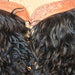 Black Angora Woolie Shotgun Chaps Collectibles MISC