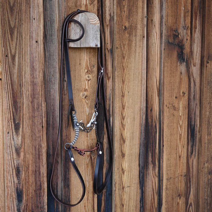 Chain Bridle Rig w/All New Leather