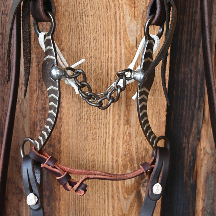 Chain Bridle Rig w/All New Leather