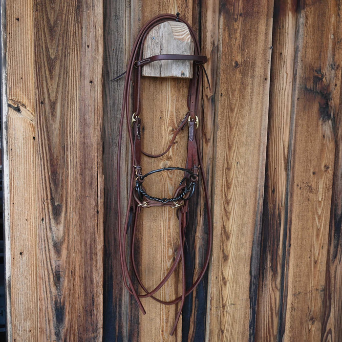 Locked O-Ring Twisted Snaffle Combo Bridle Rig w/All New Leather Tack - Rigs misc