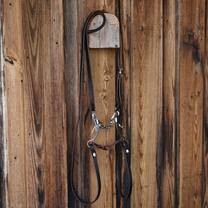 Chain Bridle Rig w/All New Leather