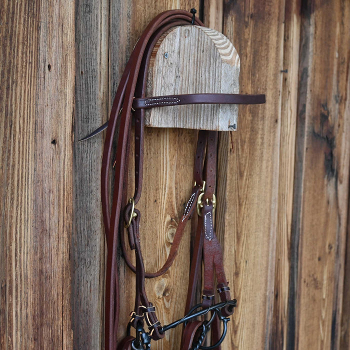 Locked O-Ring Twisted Snaffle Combo Bridle Rig w/All New Leather Tack - Rigs misc