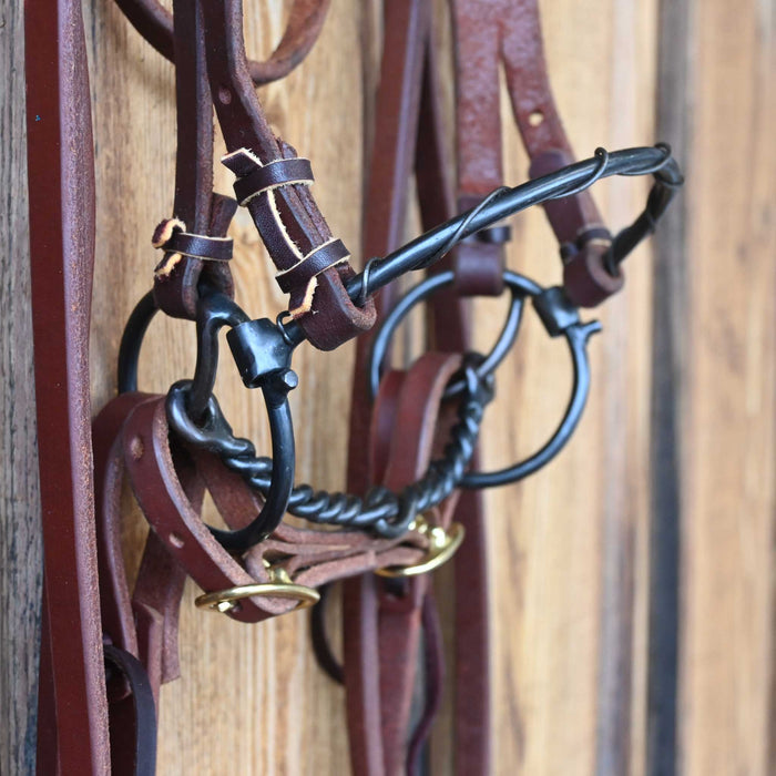 Locked O-Ring Twisted Snaffle Combo Bridle Rig w/All New Leather Tack - Rigs misc