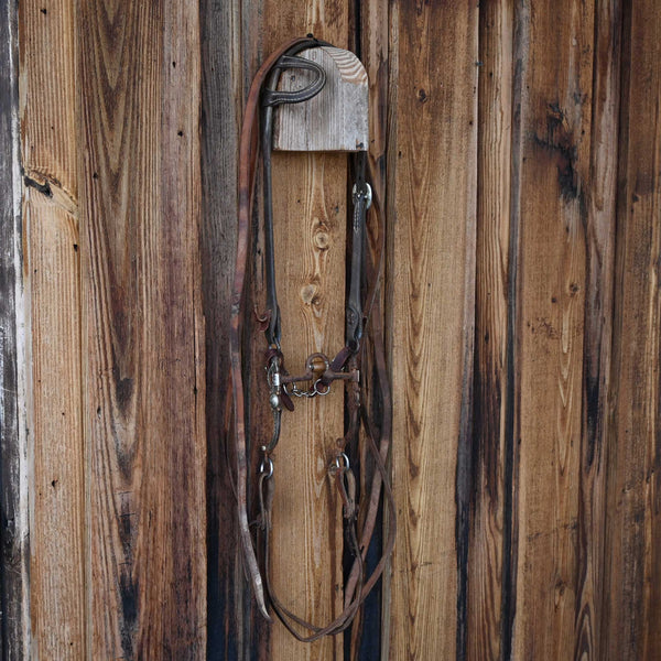 Headstalls & Rigs