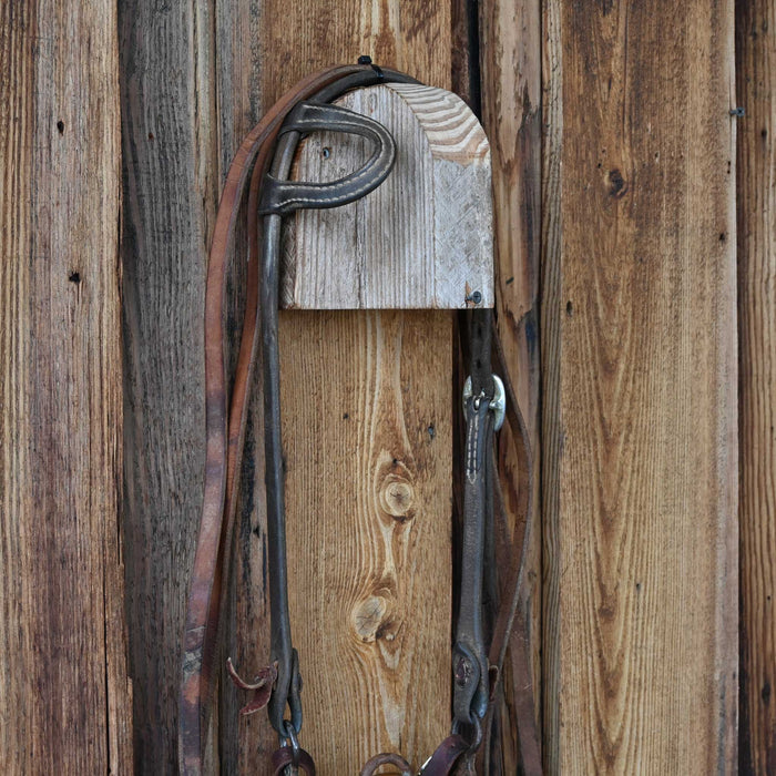 Solid Port Bridle Rig w/Single Ear Headstall