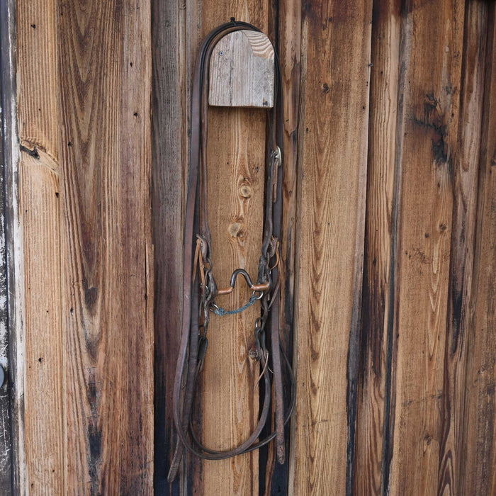 Professional's Choice Bob Avila Solid Port Bridle Rig w/Split Ear Headstall