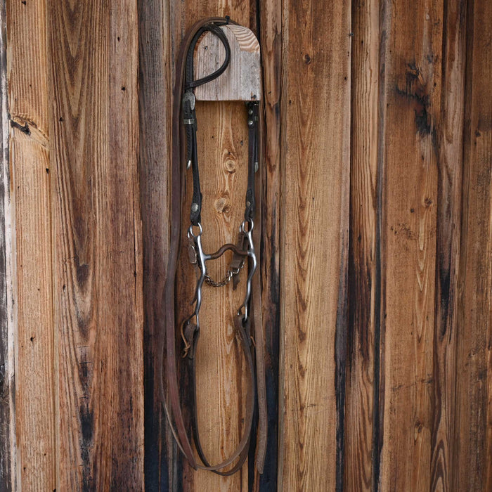 Trammell Copper Port Bridle Rig w/Single Ear Headstall