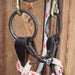 O-Ring Snaffle Bridle Rig w/Browband Headstall Tack - Rigs misc