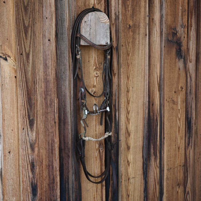 Classic Equine Correction Bridle Rig w/Browband Headstall