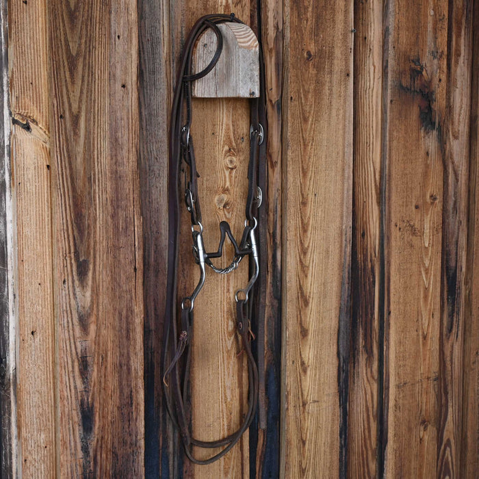 Cathedral Bridle Rig w/Single Ear Headstall