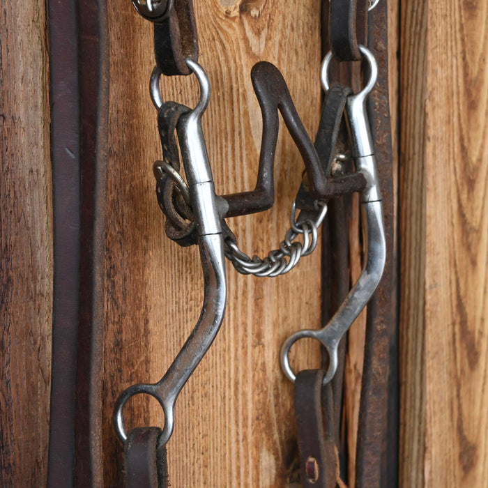 Cathedral Bridle Rig w/Single Ear Headstall