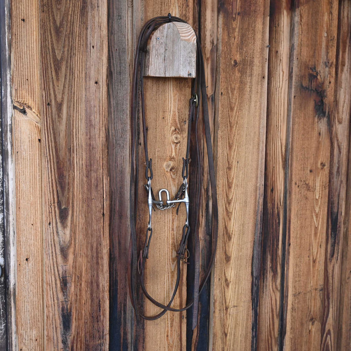 Roy Correction Bridle Rig w/Single Ear Headstall