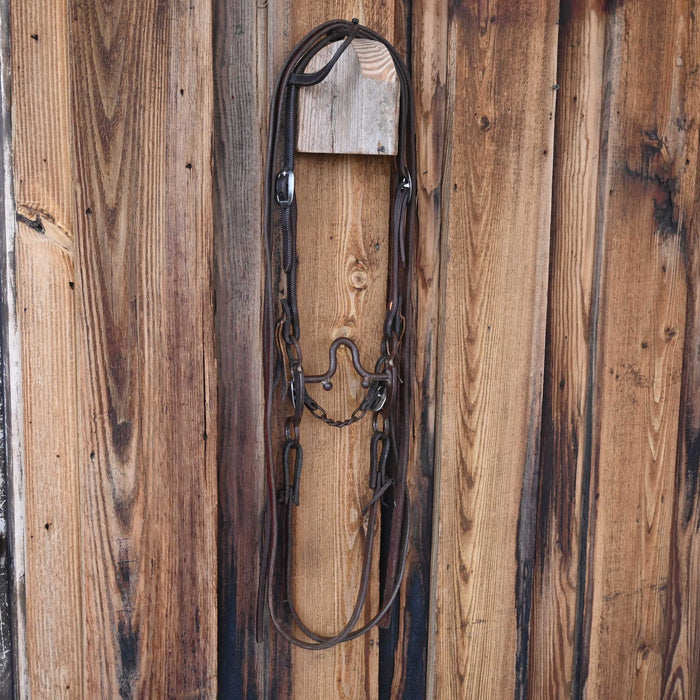 Kenny Gianni Solid Port Bridle Rig w/Single Ear Headstall Tack - Rigs Kenny Gianni