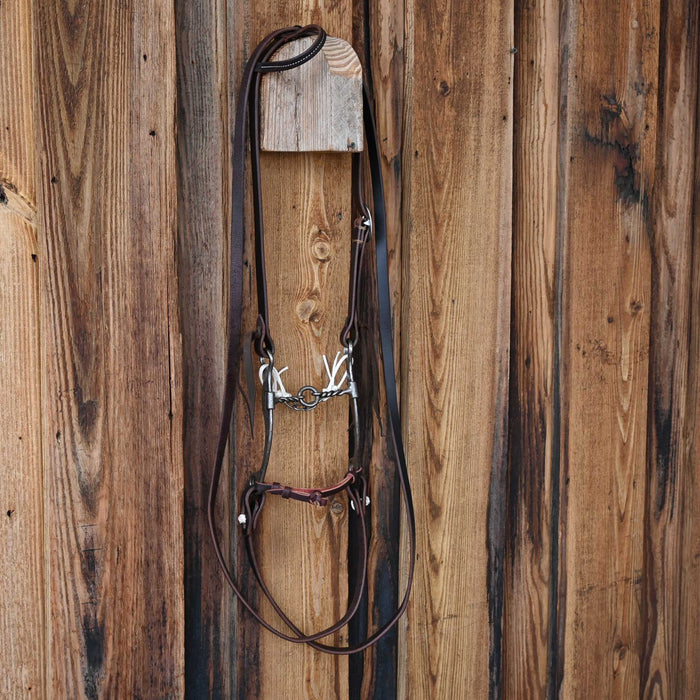 Josh Ownbey Twisted Wire Lifesaver Bridle Rig w/Single Ear Headstall